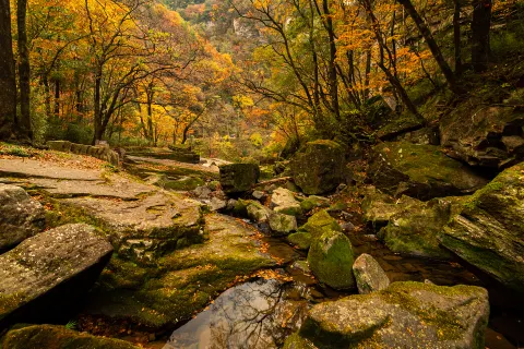 Liping National Forest Park
