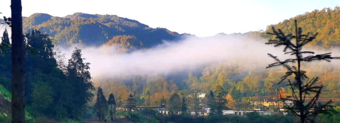Fall Viewing Attractions
