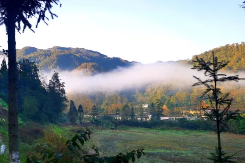 Pingbian Dawei Mountain