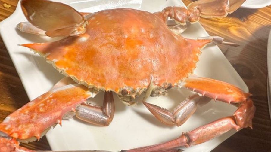 LAODIFANG HAIXIANFANG