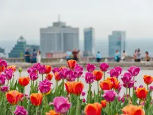 Top 3 Spring Outings in Quebec