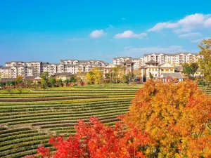 Shexiang Ancient Town