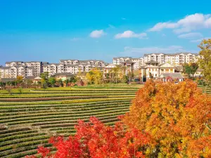 Popular Fall Viewing Attractions in Dafang
