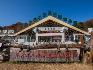 北京喇叭溝原始森林公園
