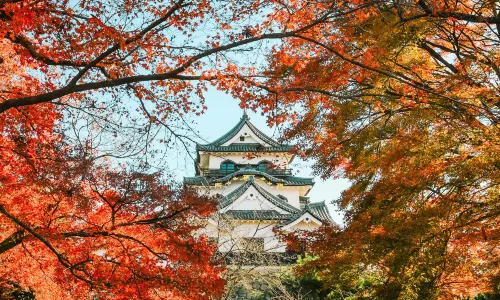 Burg Hikone