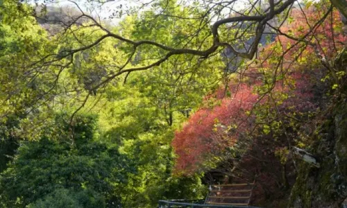 Huoshan Scenic Area