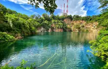 Bukit Timah Nature Reserve