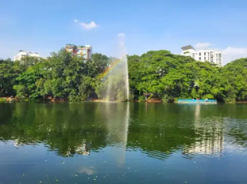 Migliori 10 Fioriture Primaverili a Dacca