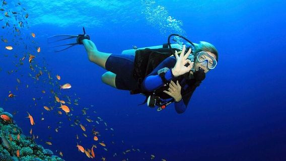 Snorkeling or Scuba Diving in Fethiye