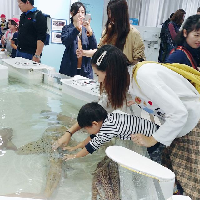 大阪親子遊 海遊館