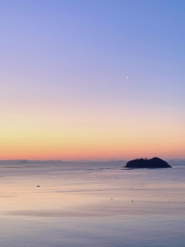 한국의 디즈니 ｡:+*
