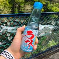 【富士宮】白糸の滝で大自然を感じよう