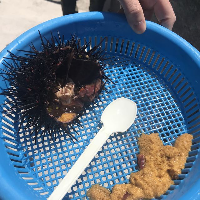 淺談利尻島