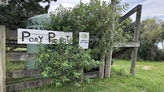 Pony Point