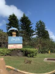 Aloha Kai - Sea Life Park Luau