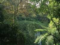 Benang Kelambu Waterfall