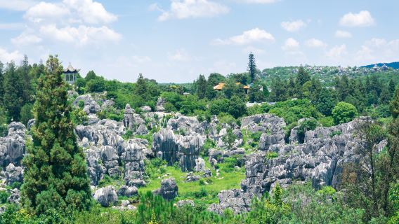 Tur Harian dari Kunming ke Hutan Batu dengan Mencicipi Mi Seberang Jembatan