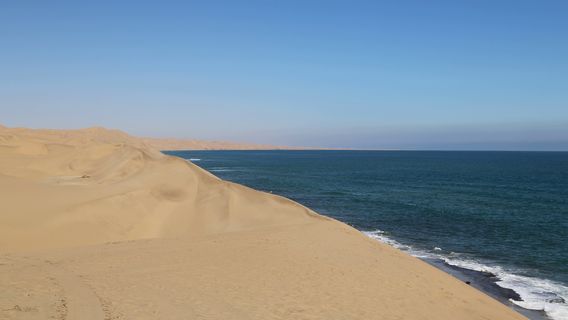 Desert Tracks Bookings & Safaris