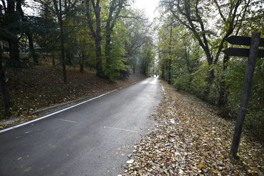 蜀山森林公園