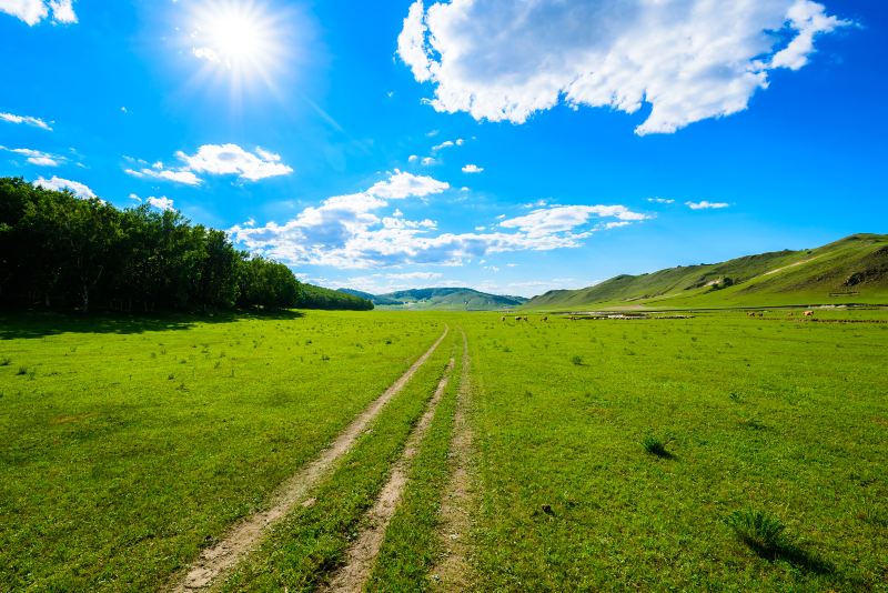 Ulan Butung Grasslands