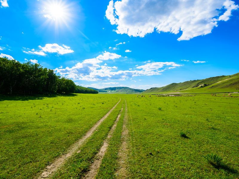 Ulan Butung Grasslands