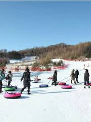 大龍灣滑雪場