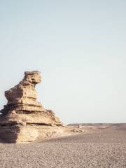 Golden Lion Welcoming Guests (Tower-shaped Yardang)