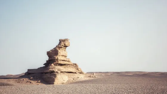 金獅迎賓(塔狀雅丹)