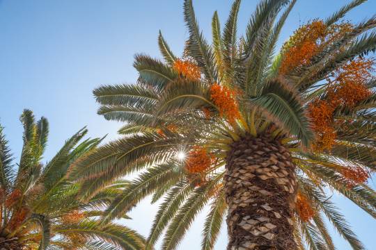 大阪市立長居植物園+大阪市立自然史博物館一日遊