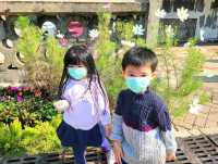 又到賞花季，去荔枝角公園看櫻花
