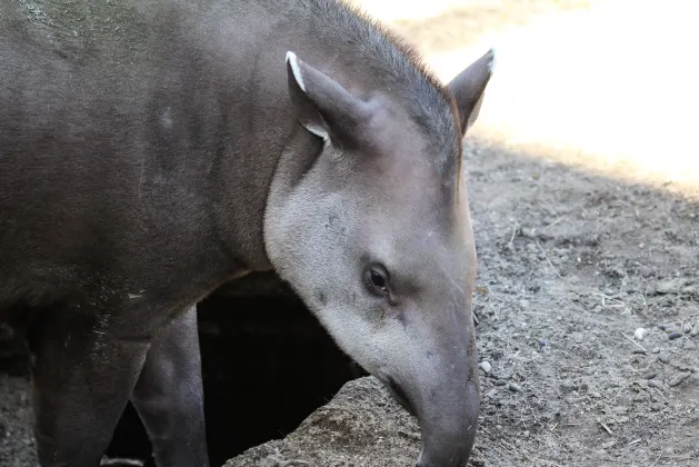 Отели с услугой Интернет в г. Ито