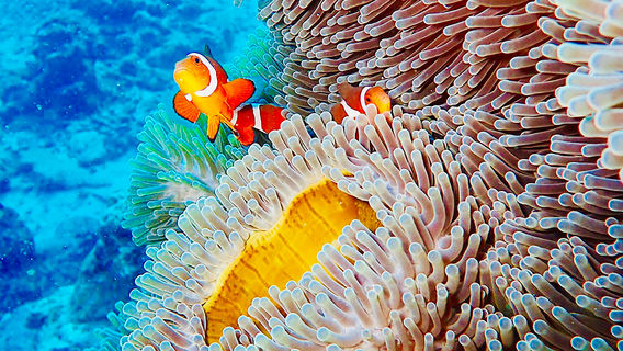 Phuket
