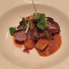 Levantine Hill User Photo