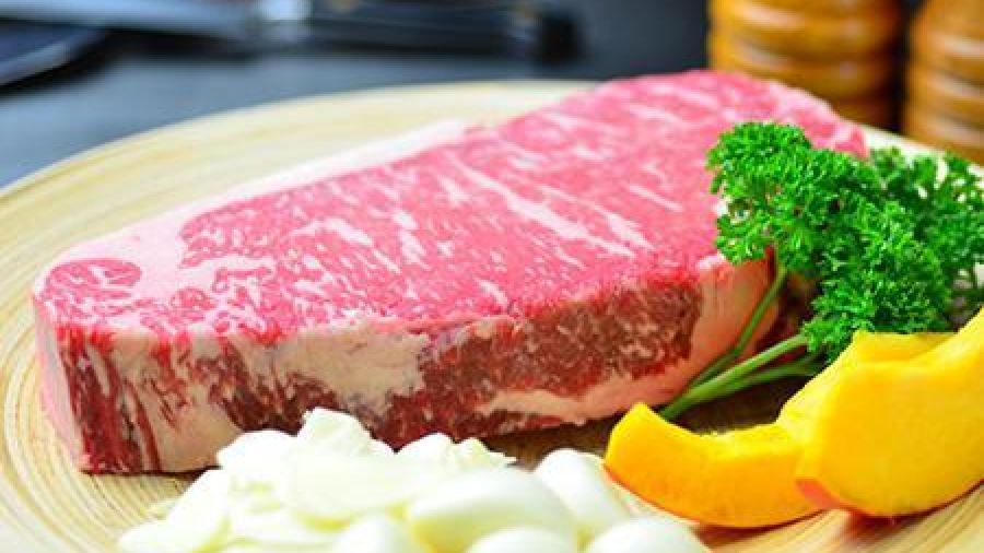 玖苑国际饭店铁板烧