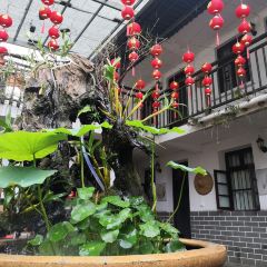 梅山庄园 User Photo