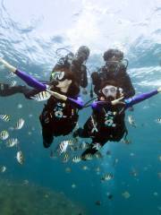 Wuzhizhou Island Diving