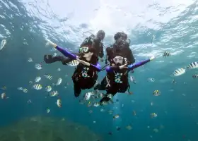 Wuzhizhou Island Diving