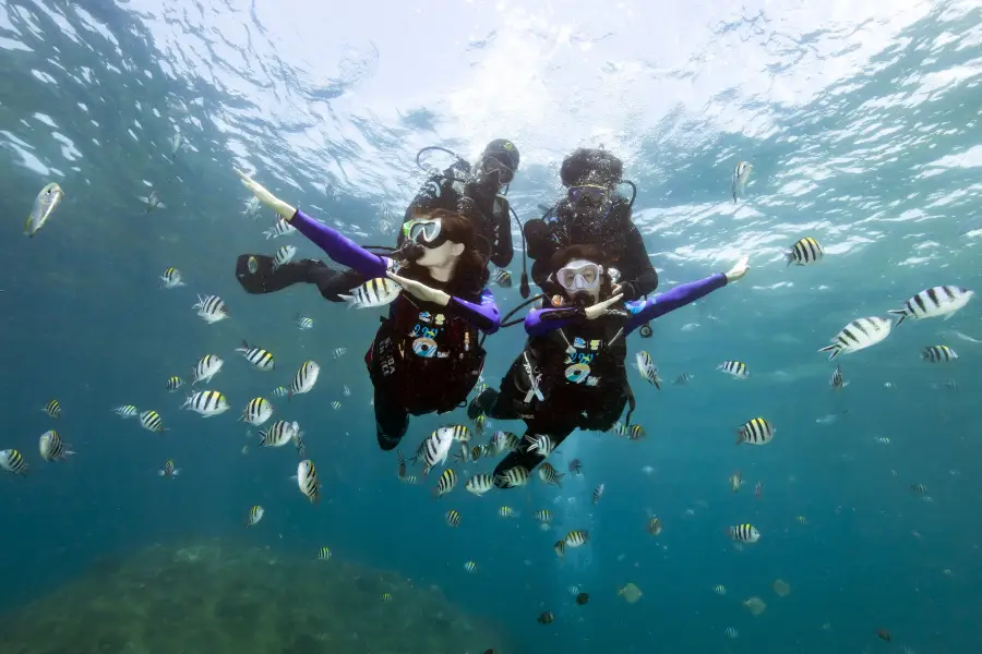 Wuzhizhou Island Diving