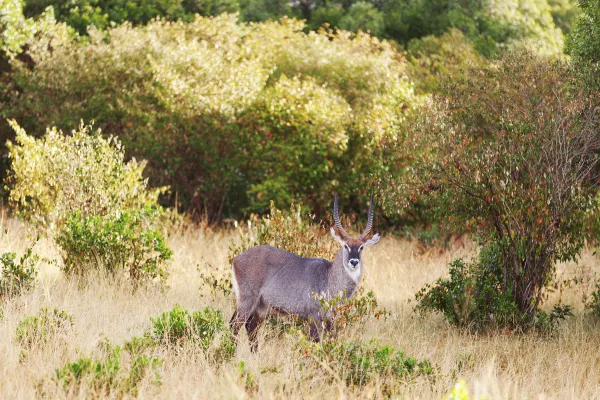 Safari Quest Kenya - Day Adventures 주변 호텔