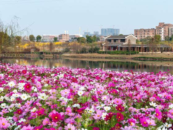 Jiangnan Park