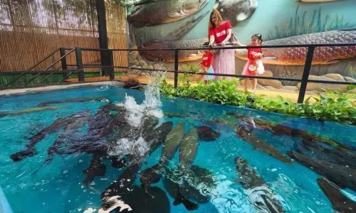 Monster Aquarium Pattaya