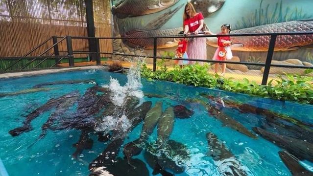 Monster Aquarium Pattaya