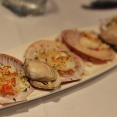 Jellyfish 여행 사진