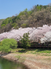 Gwanggyo Park