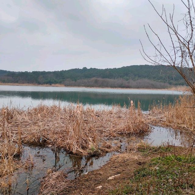 Attractive natural lake and park