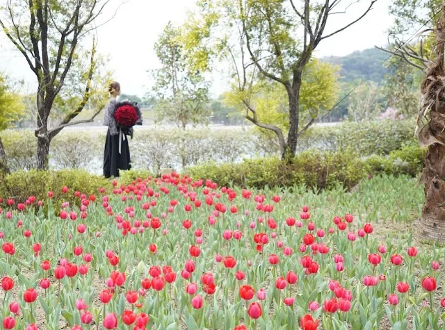 Lake House 鬱金香花海