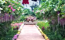 Jiuzhou Garden Of Eden