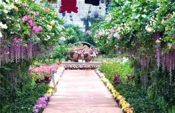 九州伊甸園門票成人