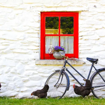 Отели с услугой Интернет в г. Дингл