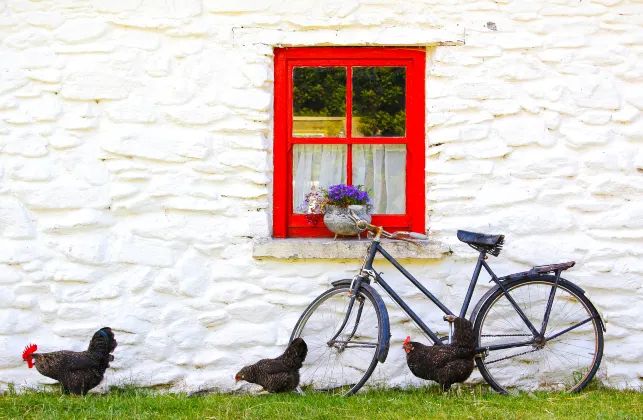 Hotels in Letterkenny With Gyms